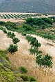 236_Kreta Wschodnia